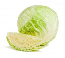 organic white cabbage