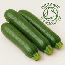 courgette