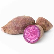Purple sweet potato 